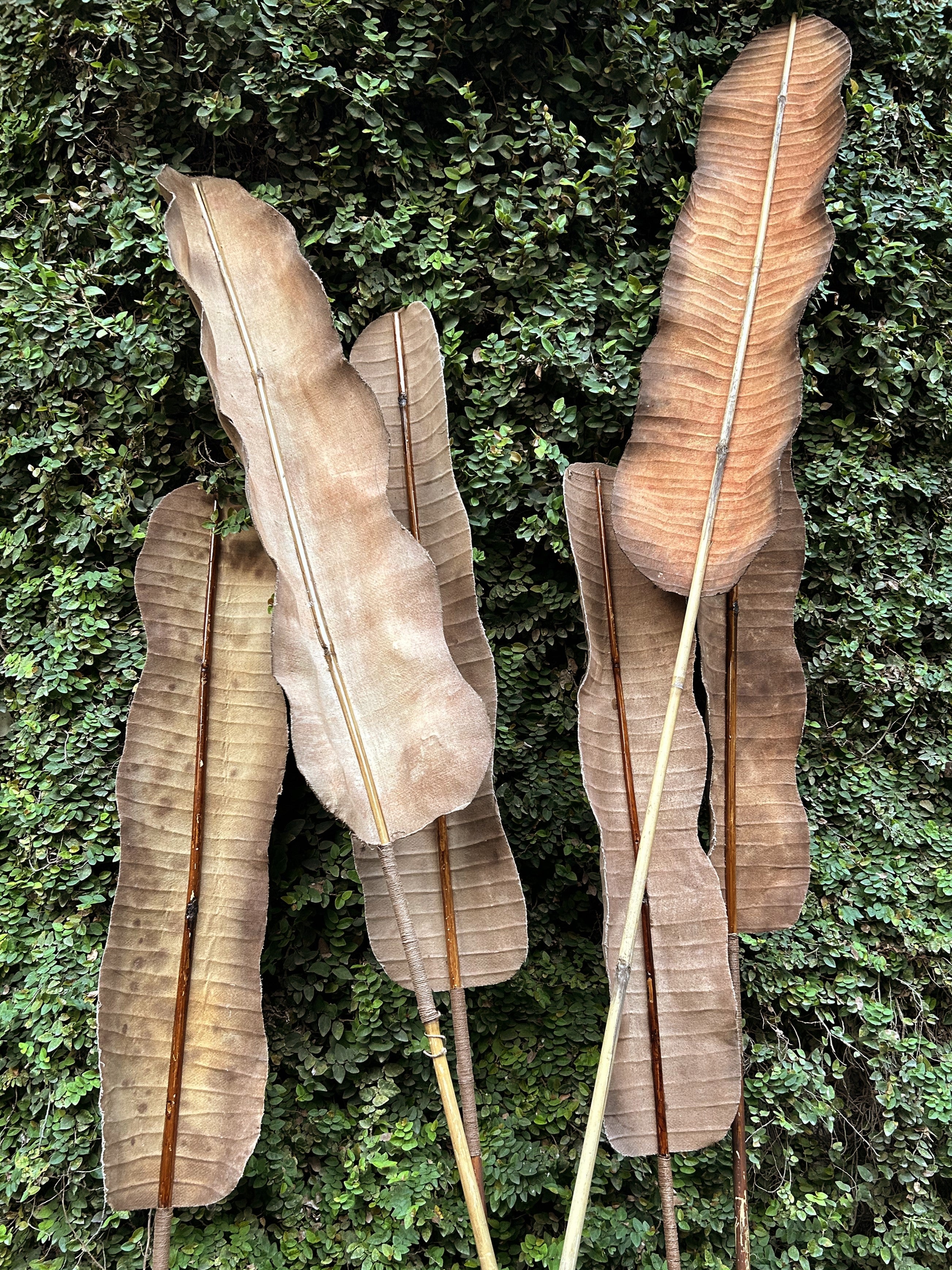 Banana leaf