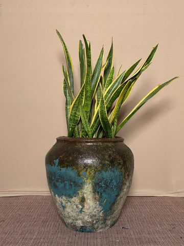 Poseidon Planter