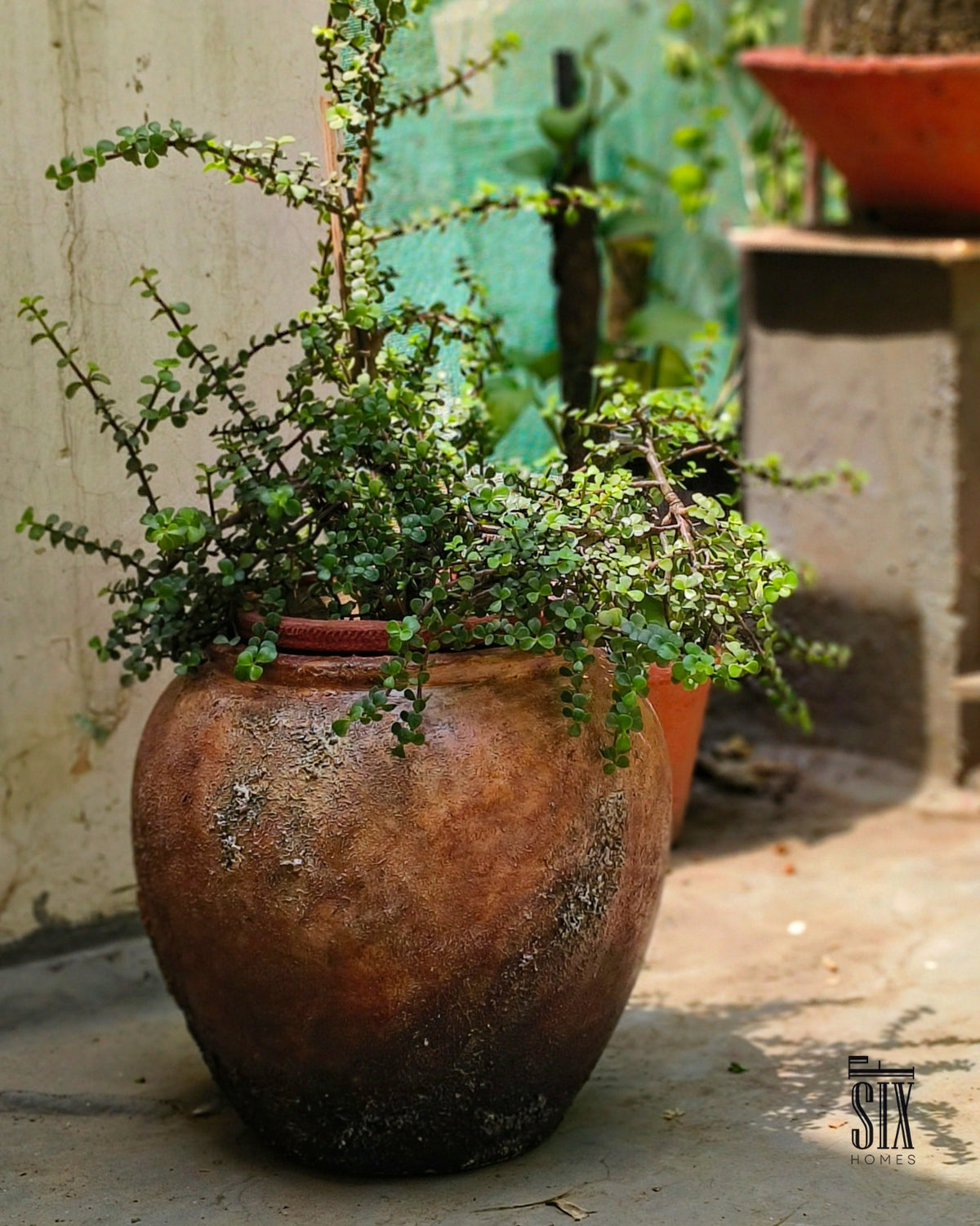 Fossil Planter